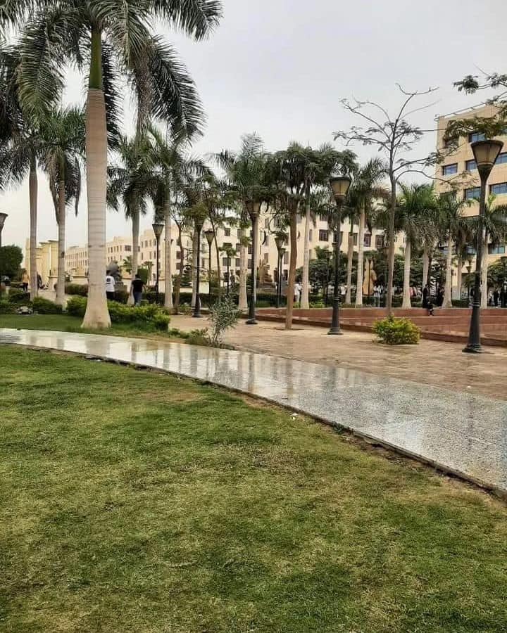 University Image 4