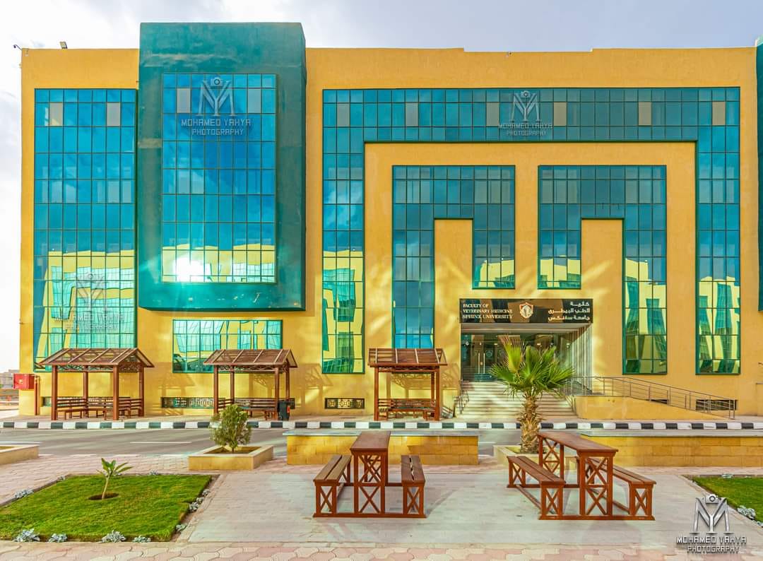 University Image 4