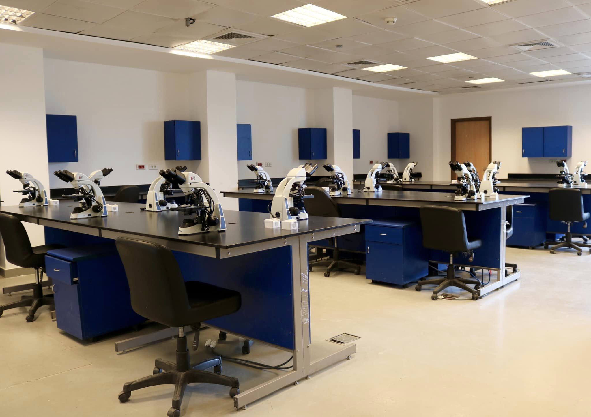 University Image 7
